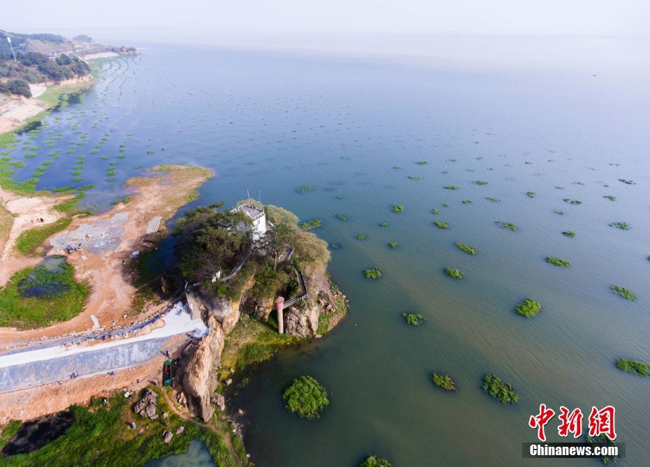 厨房脱岳裙子在后面扭