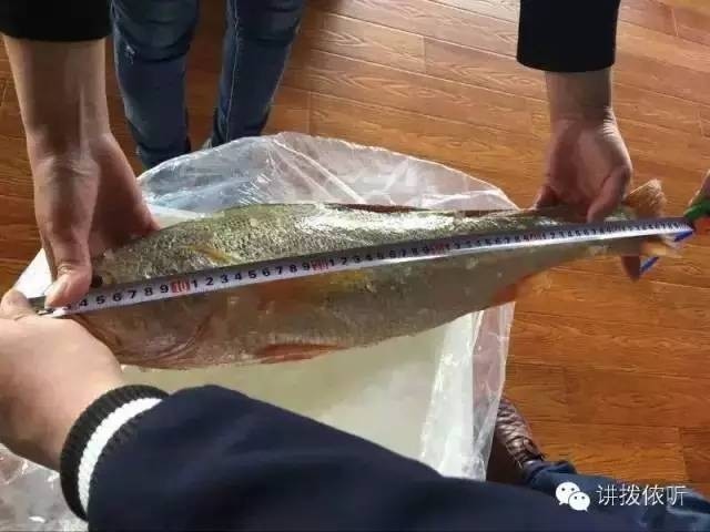 美女 裸体 影片