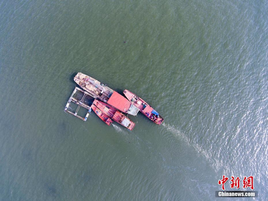 高清无码邪恶黄色网址
