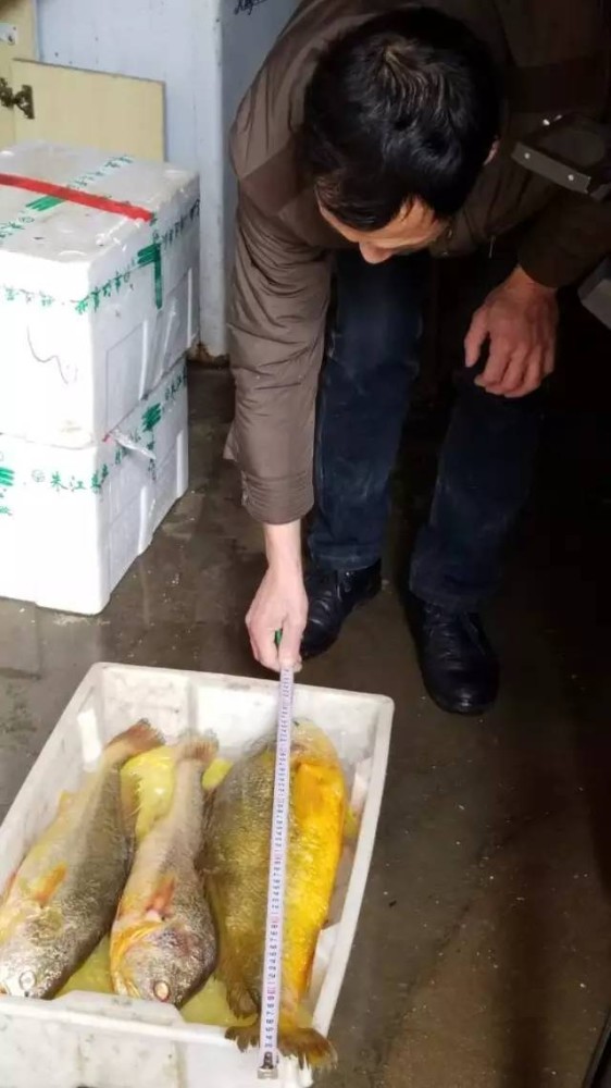 男女动态