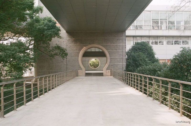 91在线观看