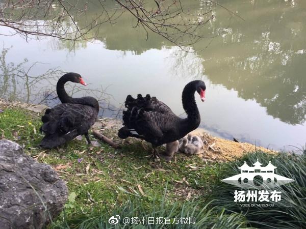 国产门群交在线视频