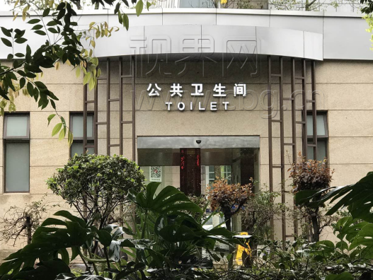 张柏芝54张无删码照在哪里