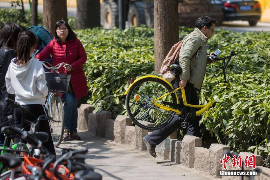 chinese肥熟亂伦BBW