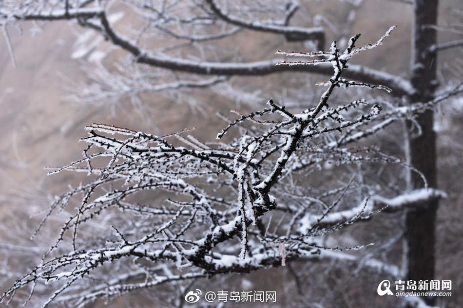 手机播放三级黄色片