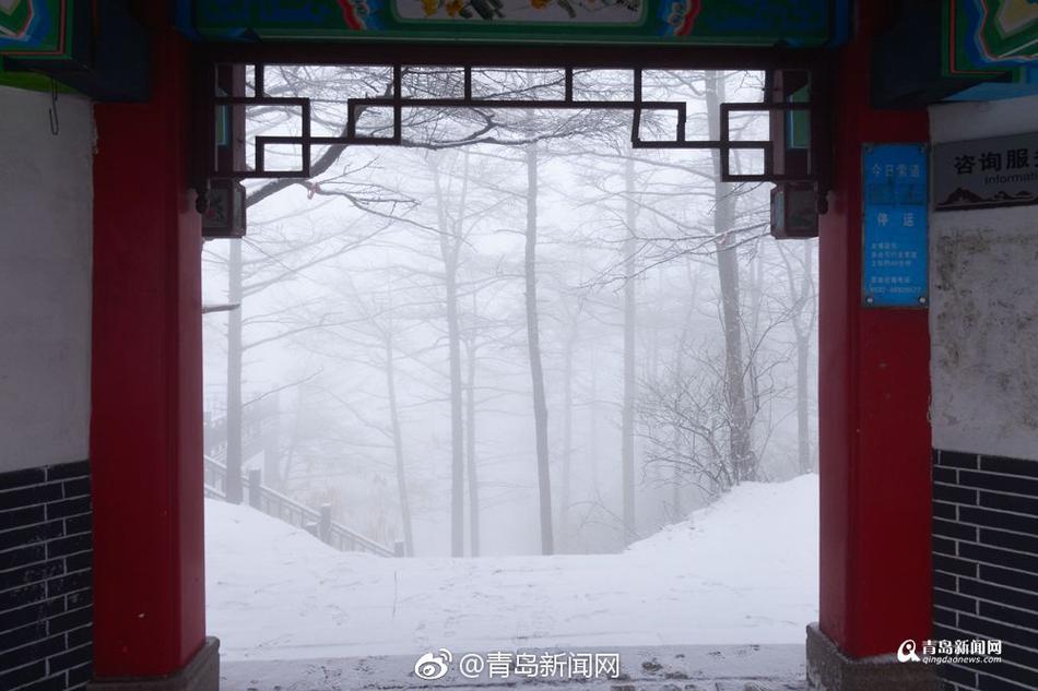 成年妇女黄网址