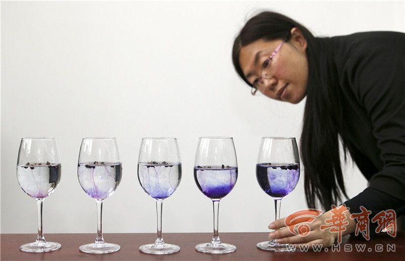 印尼看護