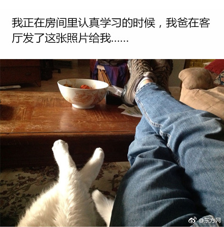 日韩乱伦大杂烩