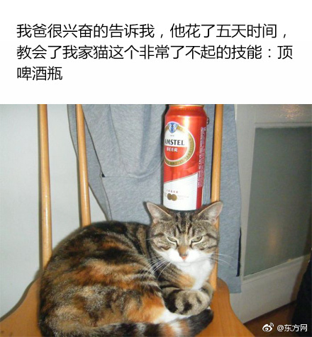 久久黄色