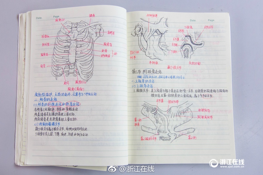 欧美A级黄色三级黄色片