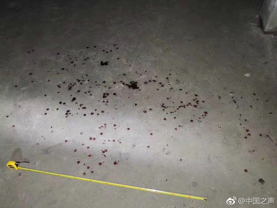 欧美A级片在线