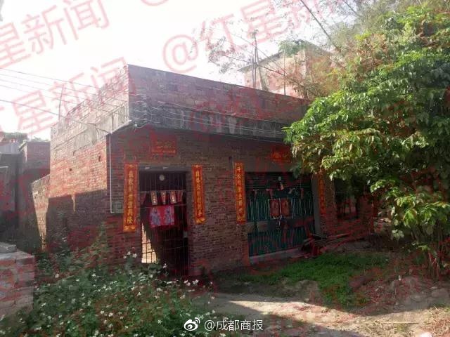 三级黄片无需下载