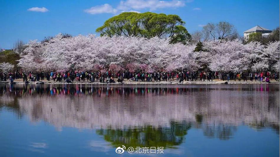 校花扒开 让我