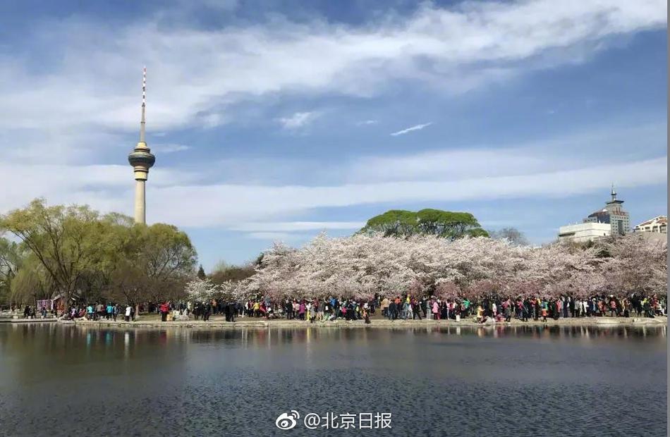 八重神子被丘丘人繁衍后代图