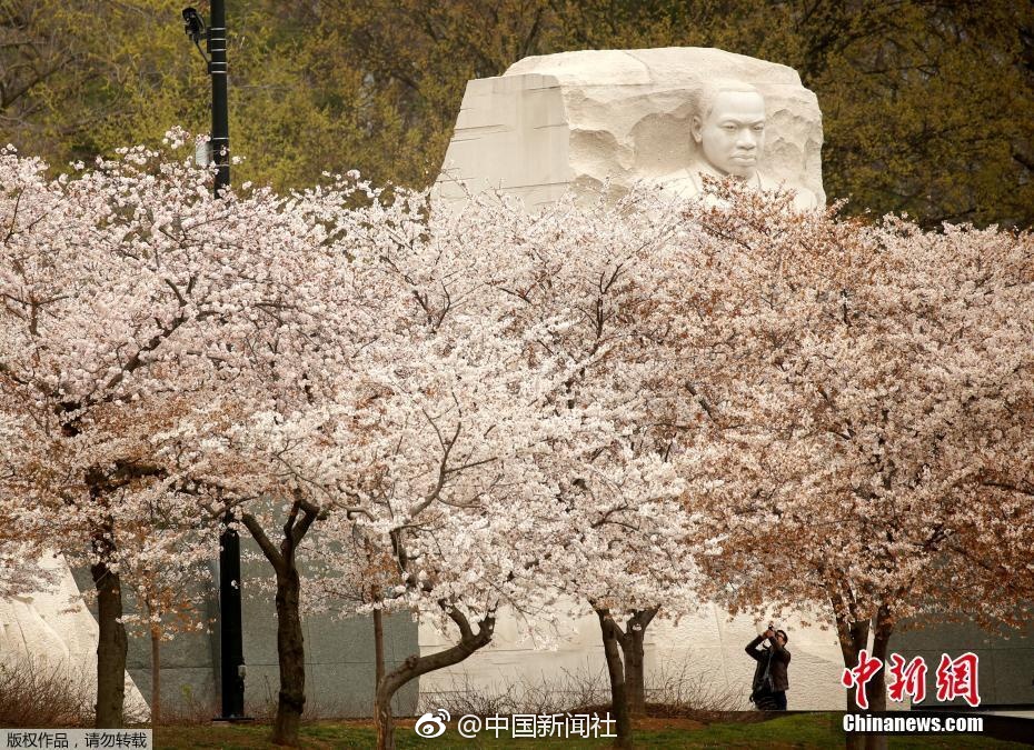 少妇高潮露脸国语对白