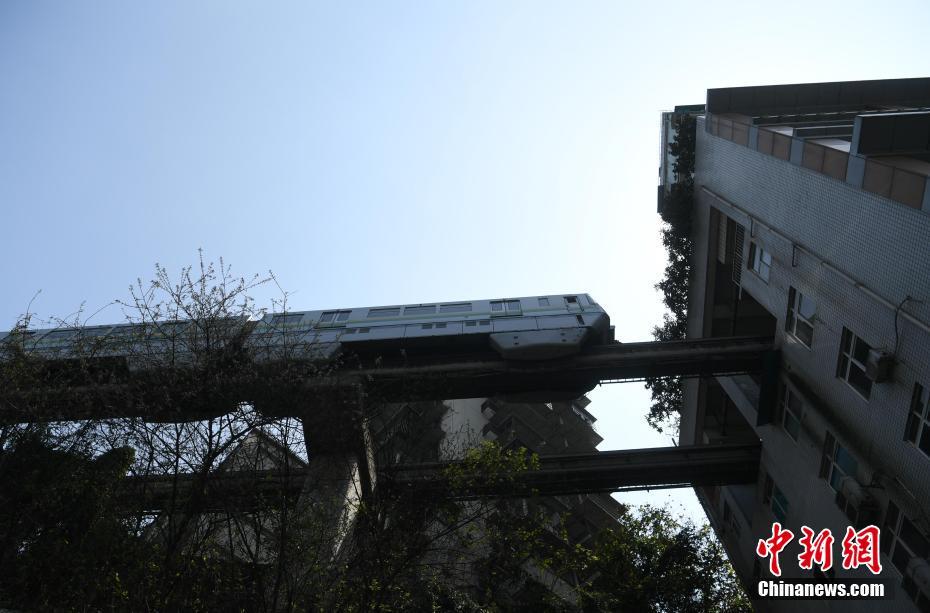 苍苍影院理论片