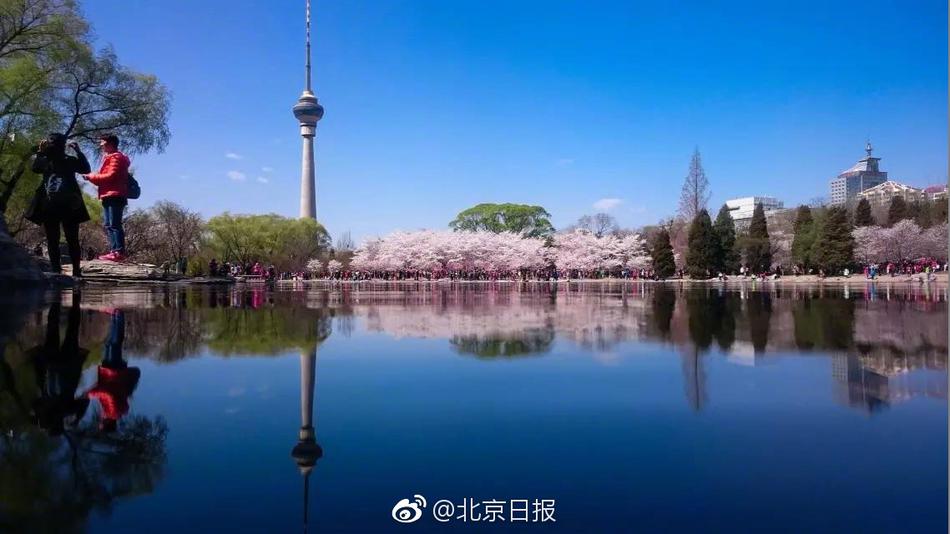 久久久香蕉