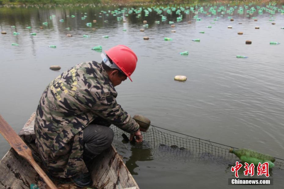 国产无码专区