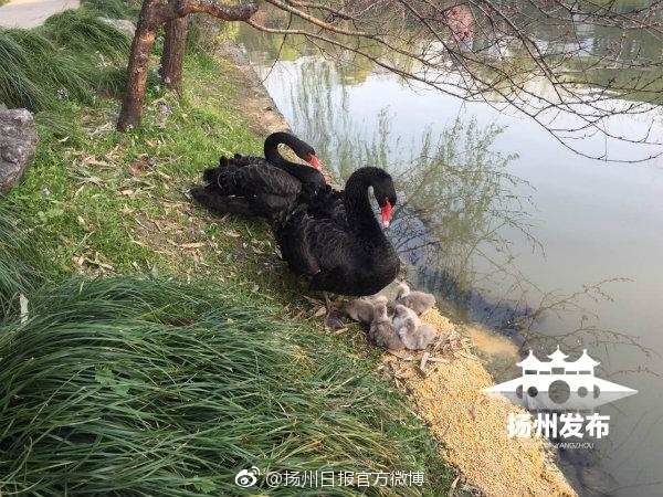 两个男人一起玩我,好爽