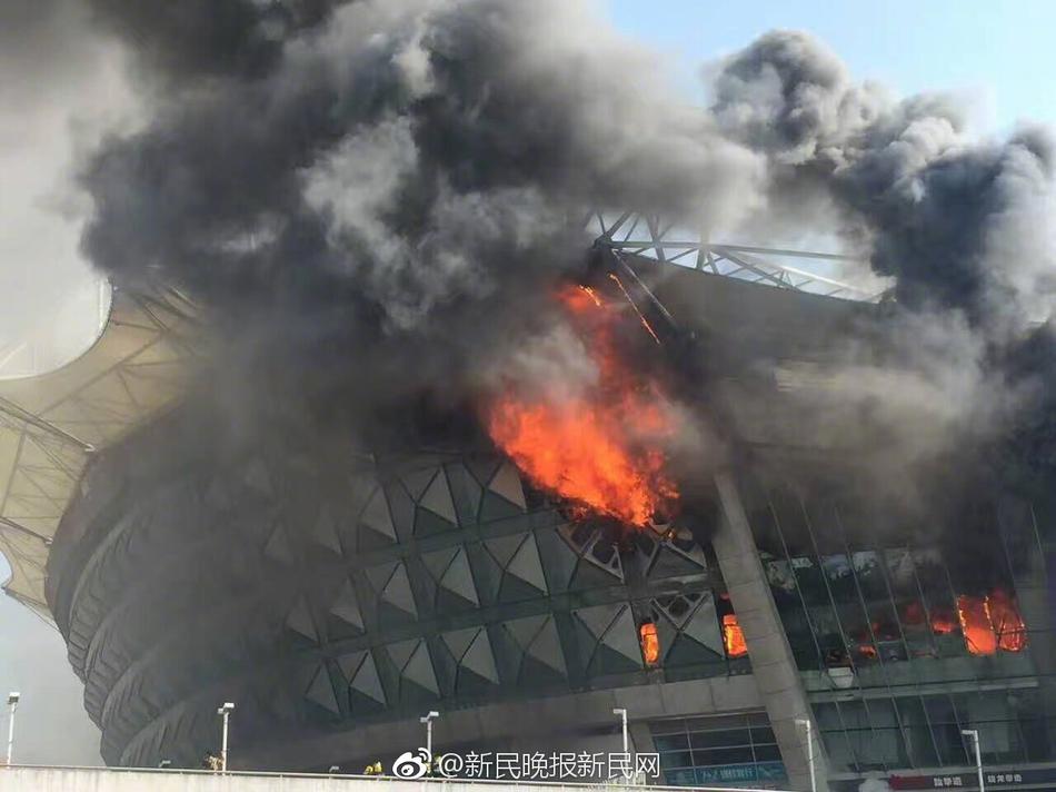 国外 的 黄色 网站