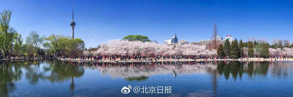 蝴蝶兒