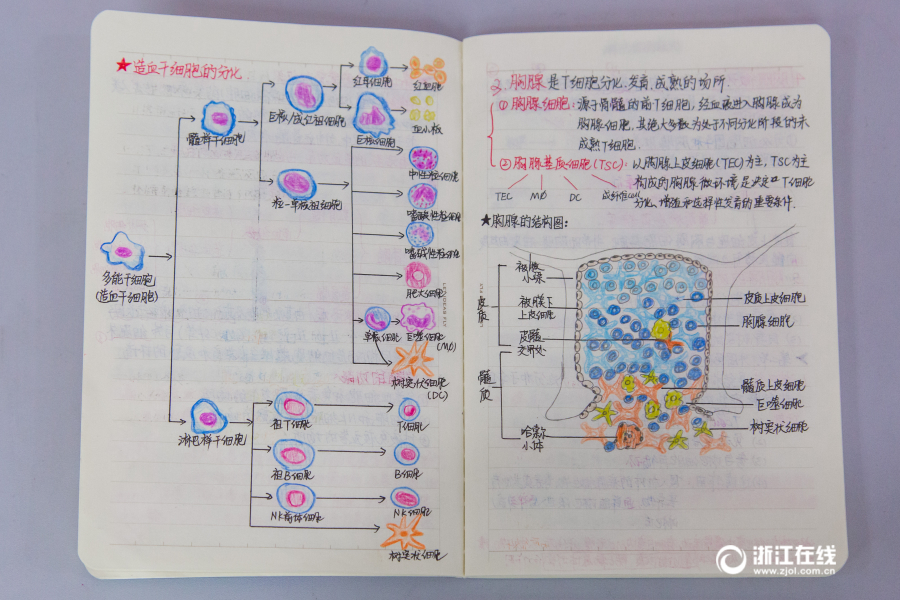 特黄色视频播放