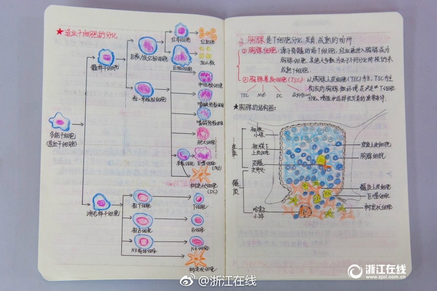 精品桃色Av