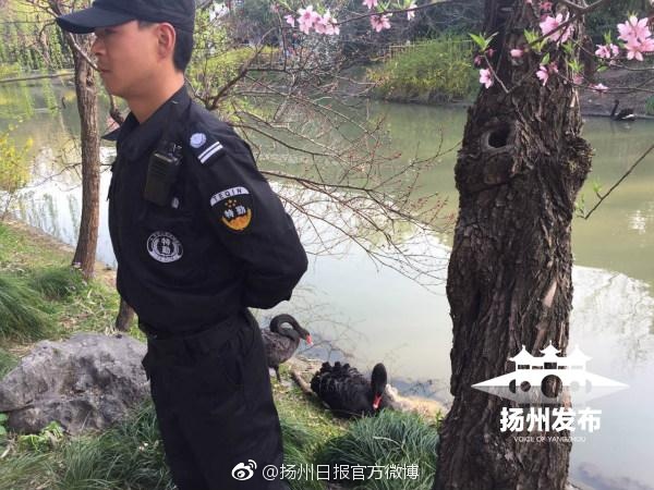 女被粗大的 巴捣出白浆口述
