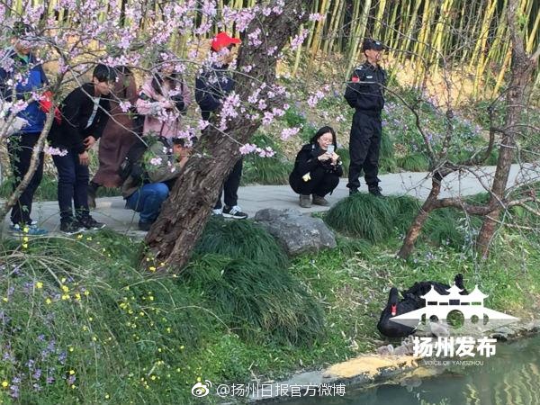 视频黄色网页。