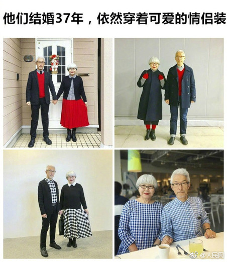 博美 交配