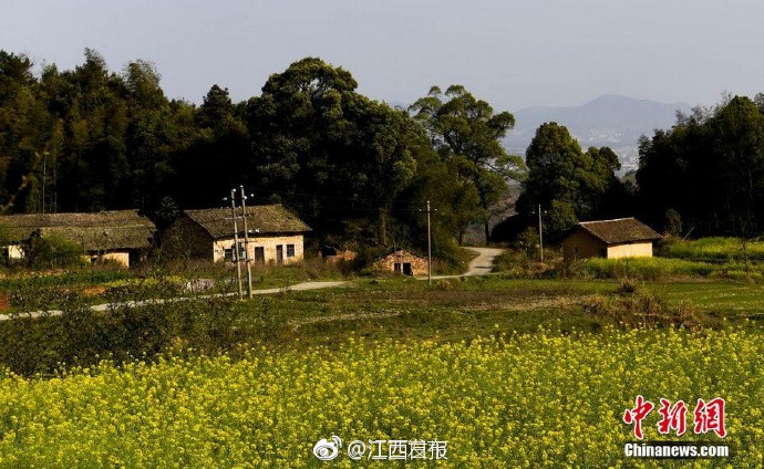 黄色网站从哪进入