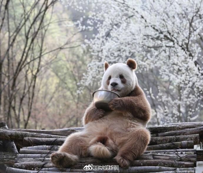 久久综合热