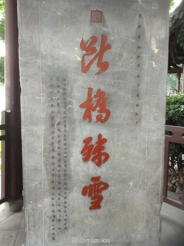 老妇女乱伦视频