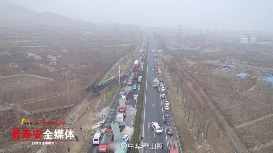污网站在线观看