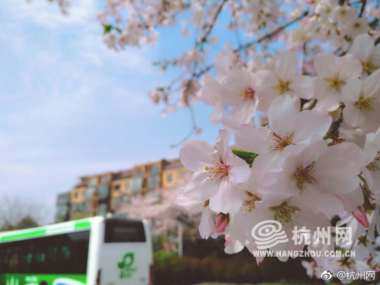 扒開腿灌牛奶拏調教双楠