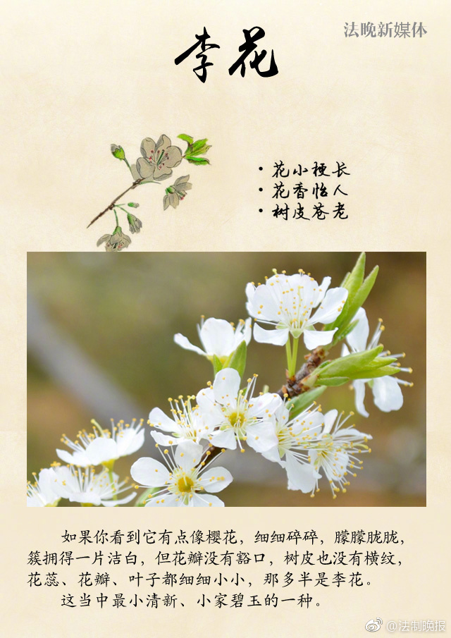 国产99久久久国产精品潘金网站