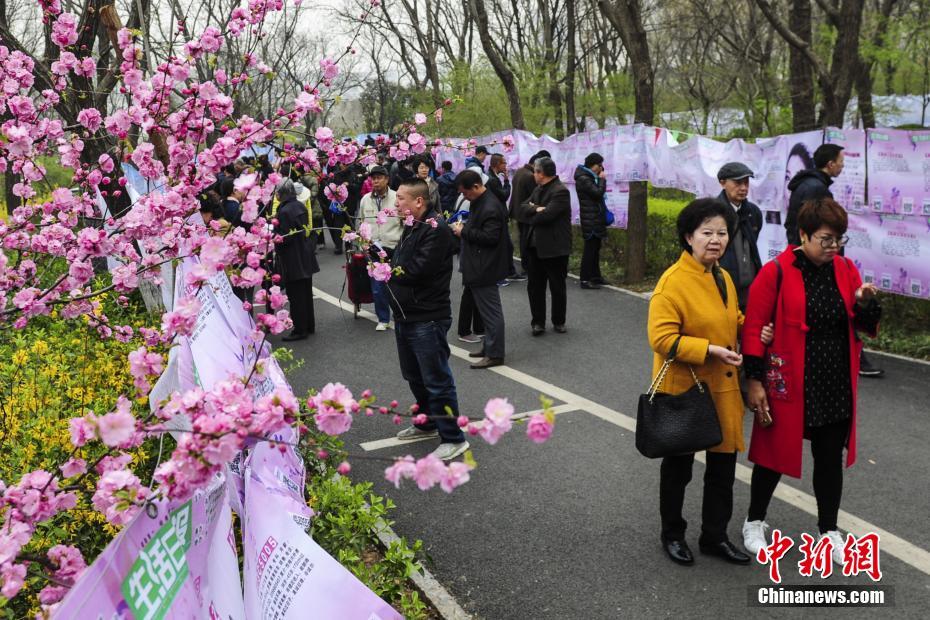 免费分娩少妇黄色网址