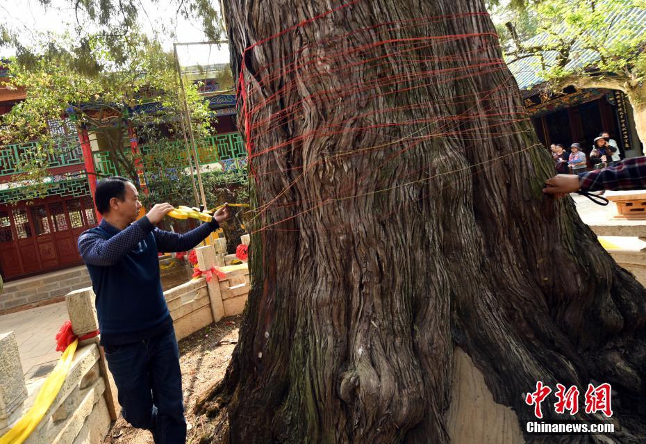 露點走光
