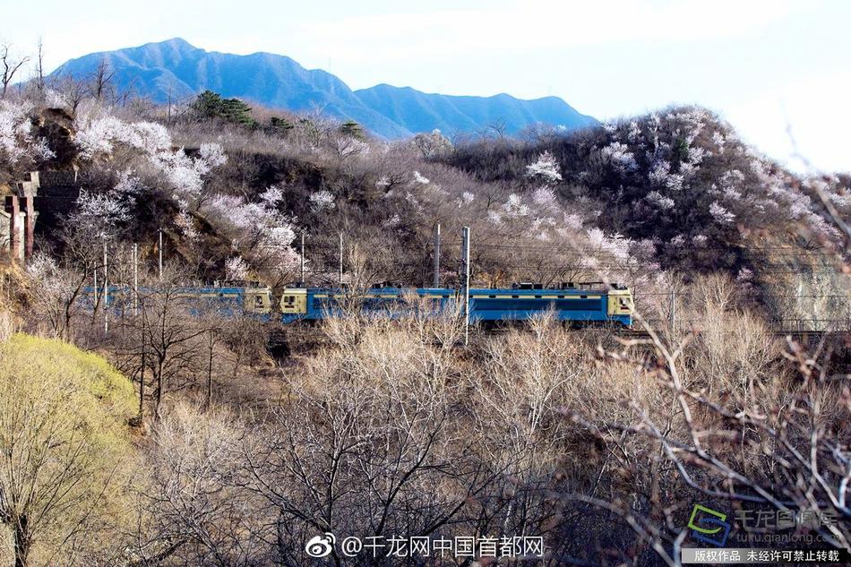 搞机time下载不用不收钱嘉兴直接打开
