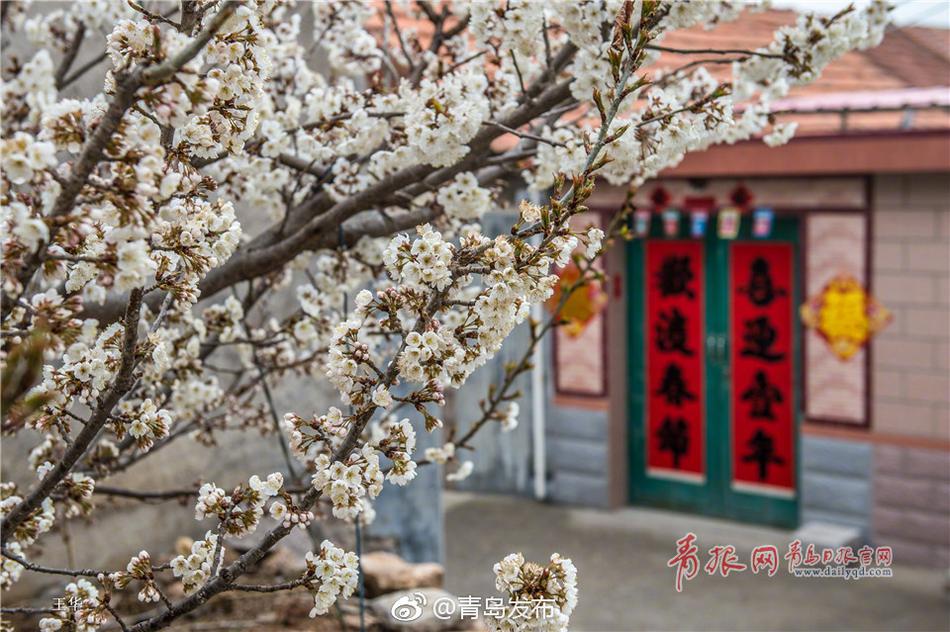班花脱裤子让我 进去动漫