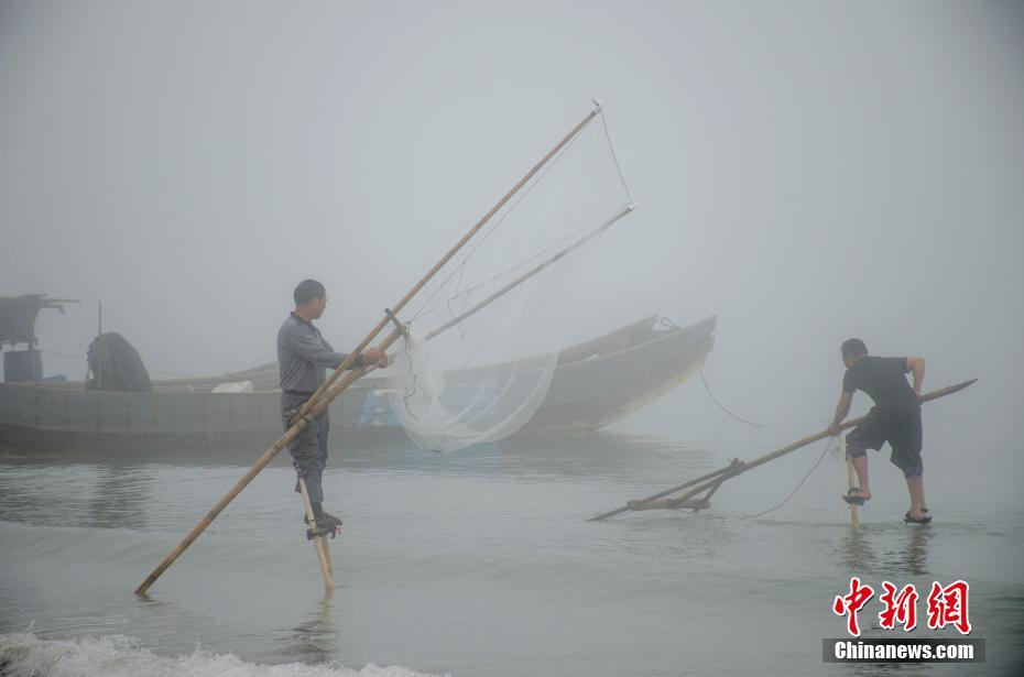 越南一黄色网站