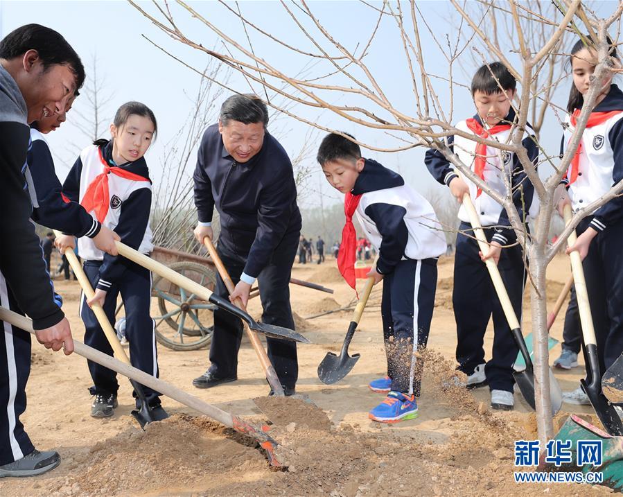 黄色网站不要钱的