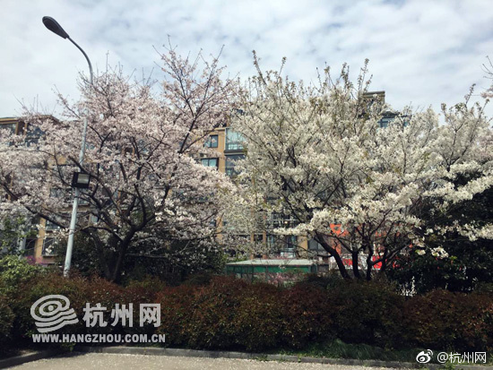 月經來做愛