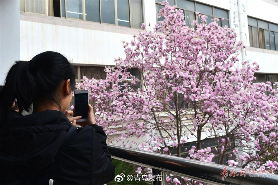 美女黄色软件