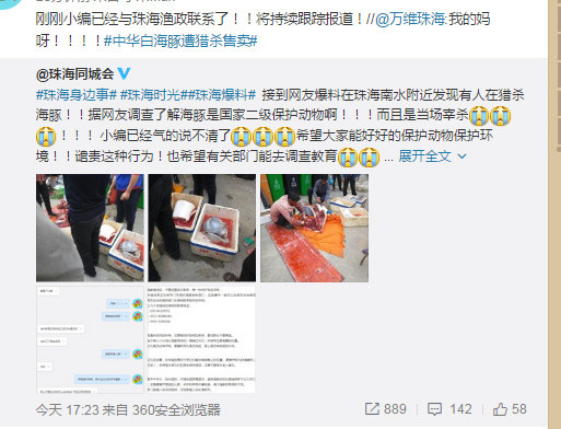 黄色在线视频观看