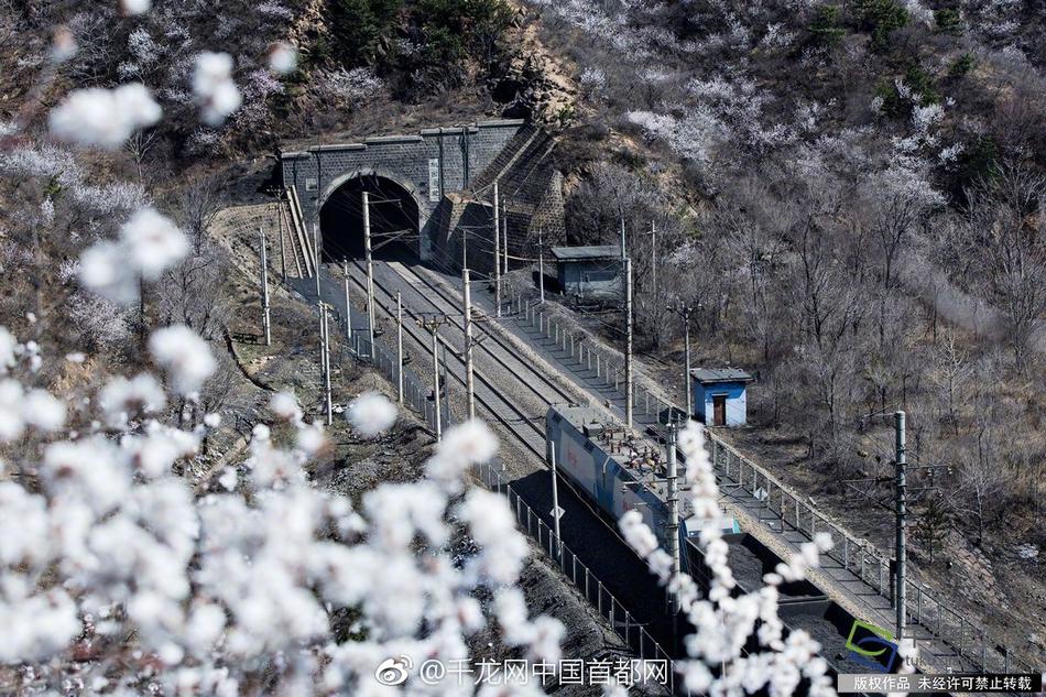 张柏芝殖器12图