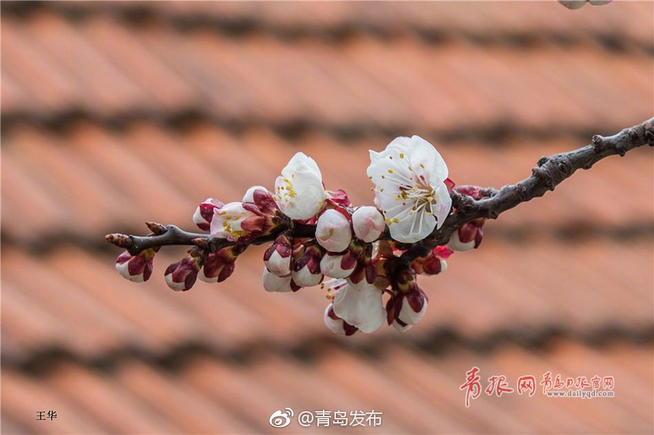 日韩无码电影