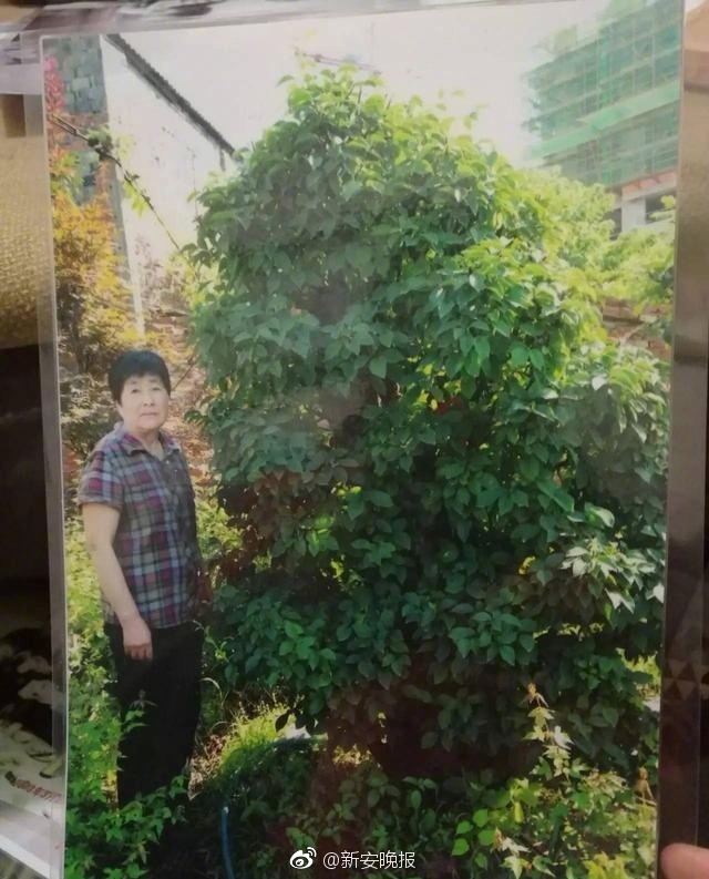 美女图片