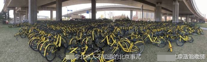 娇小小小泬BBBB