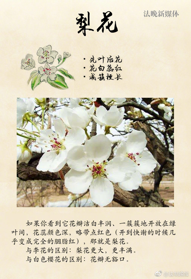 吴梦梦av一区二区三区